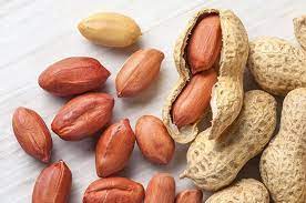 Kacang Tanah